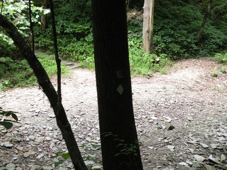 Gladie Creek, Red River Gorge